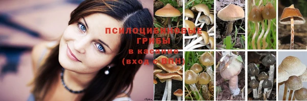 скорость Алексеевка