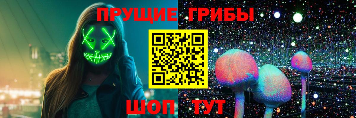 Галлюциногенные грибы Psilocybe Донской